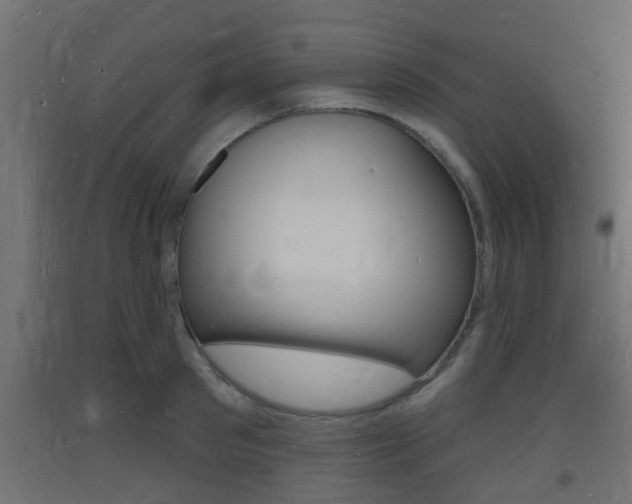 X0000093720897200710160748