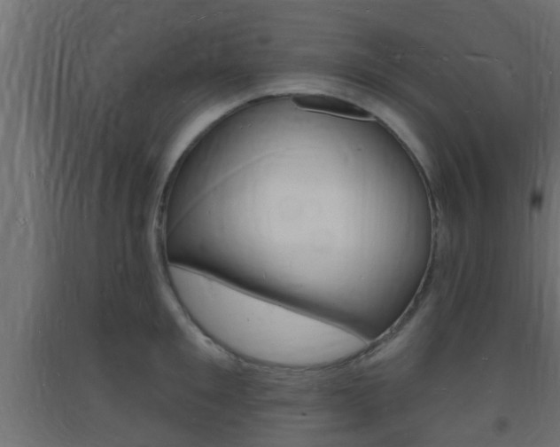 X0000093720901200710160748