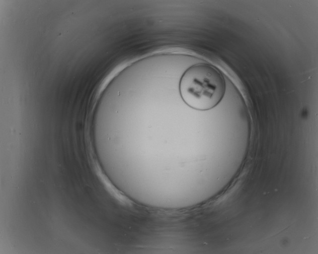 X0000093720909200710160748