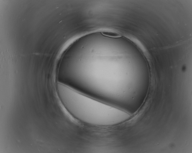 X0000093720910200710160748