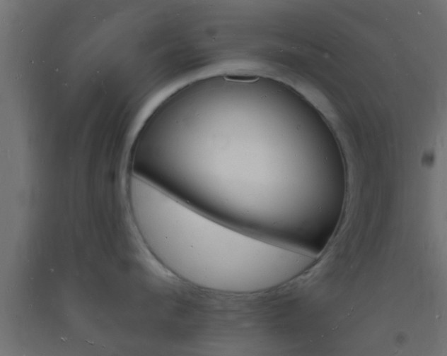 X0000093720912200710160748