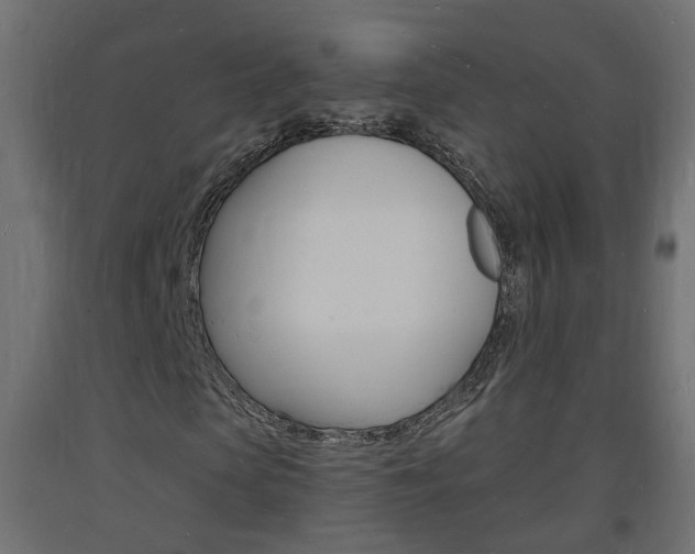 X0000093720913200710160747
