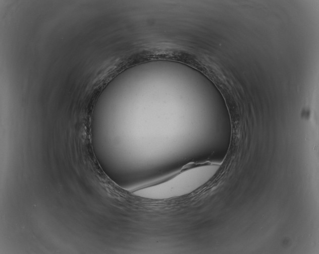 X0000093720916200710160747