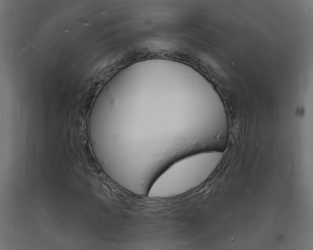 X0000093720917200710160747