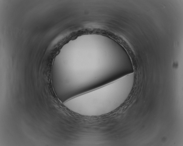X0000093720919200710160747