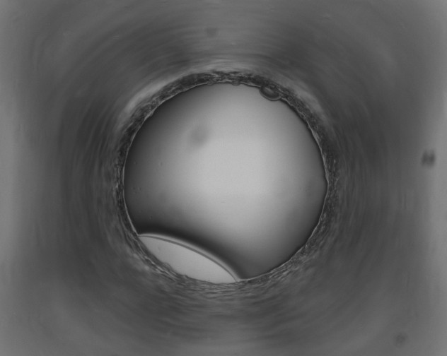 X0000093720920200710160747