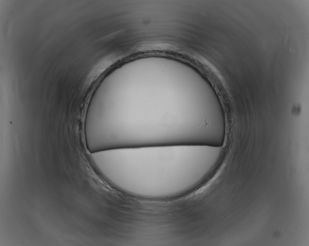 X0000093720921200710160747