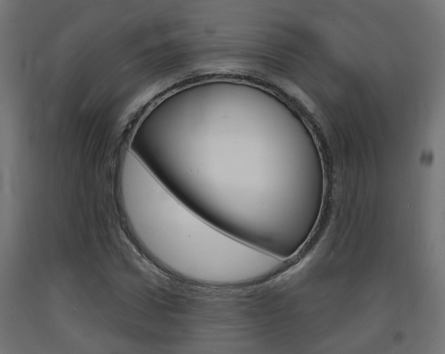 X0000093720922200710160747