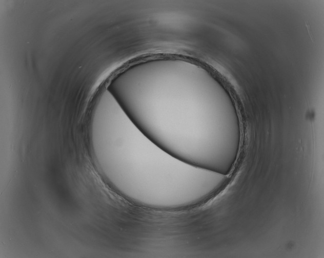 X0000093720925200710160747