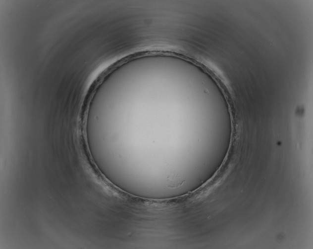 X0000093720928200710160747