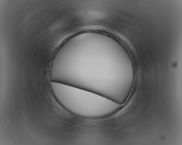X0000093720929200710160747