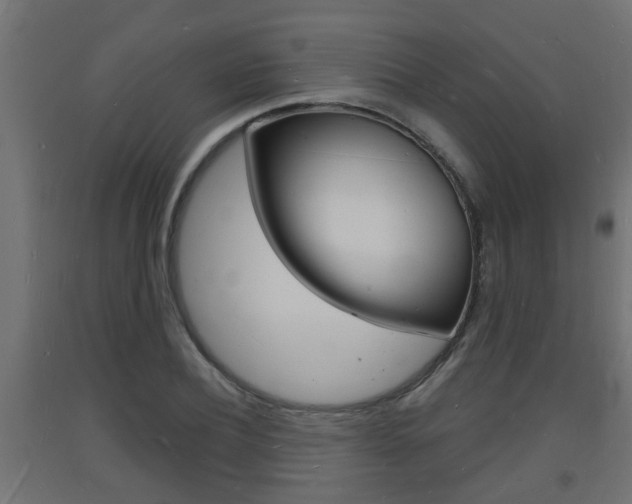 X0000093720932200710160747