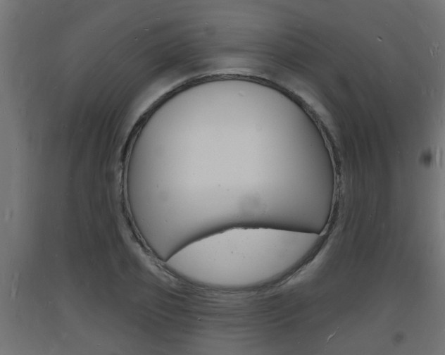 X0000093720933200710160747