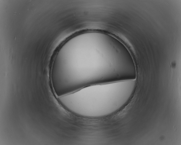 X0000093720935200710160747