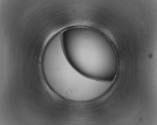 X0000093720936200710160747