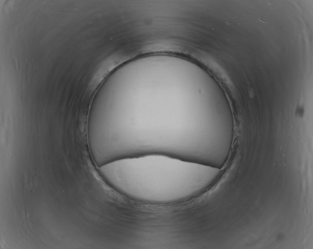 X0000093720937200710160747