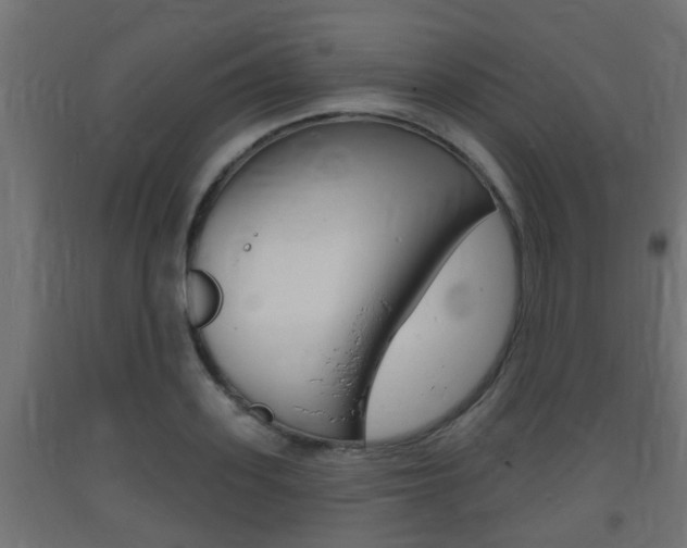 X0000093720939200710160747