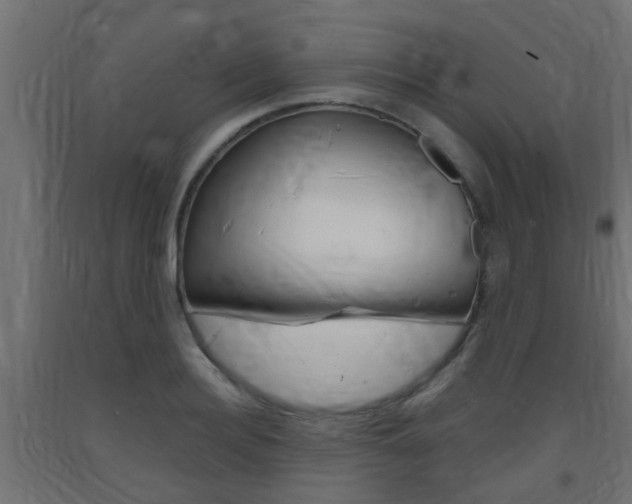 X0000093720940200710160747