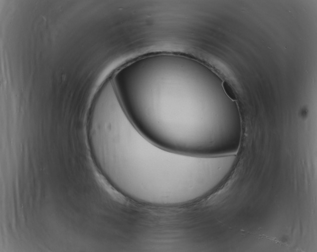 X0000093720942200710160747