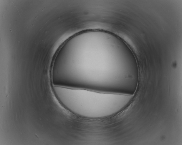 X0000093720943200710160747