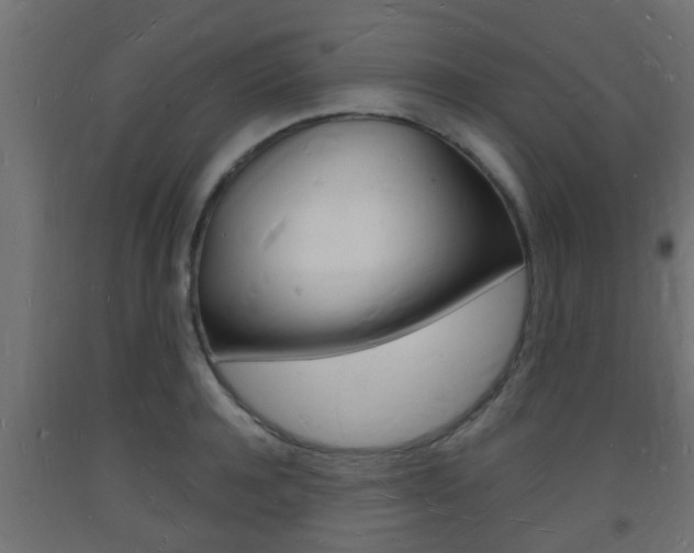 X0000093720944200710160747