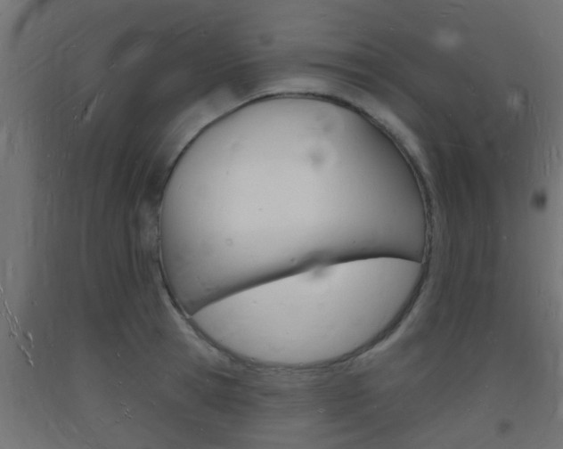 X0000093720945200710160747