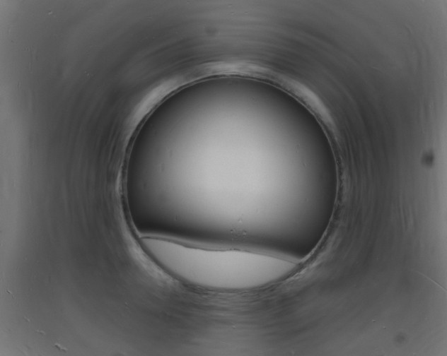 X0000093720946200710160747