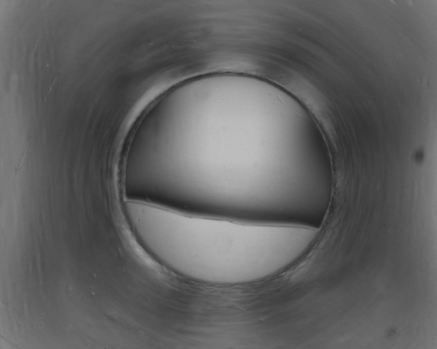 X0000093720947200710160747