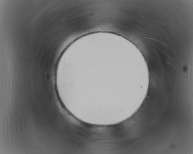 X0000093720950200710160748