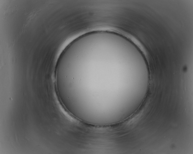 X0000093720951200710160748