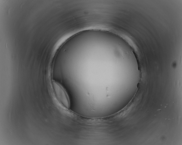 X0000093720952200710160748