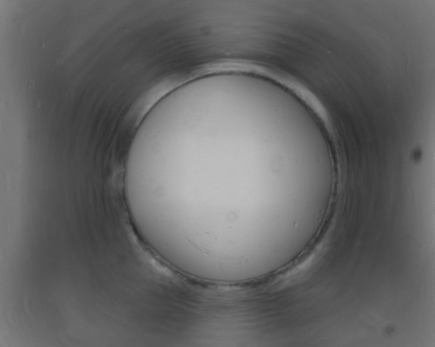 X0000093720953200710160748