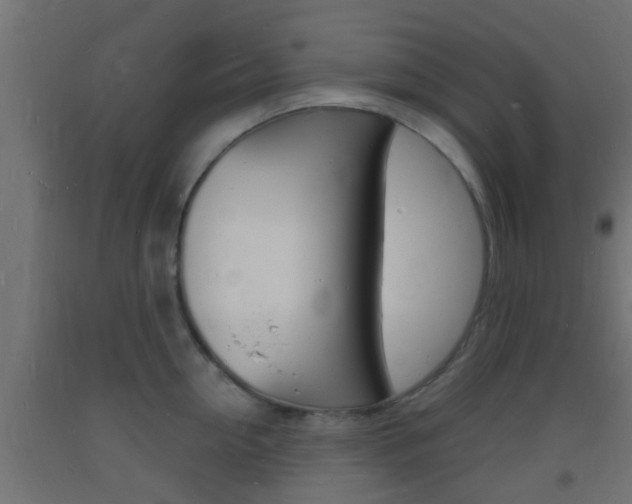 X0000093720954200710160748