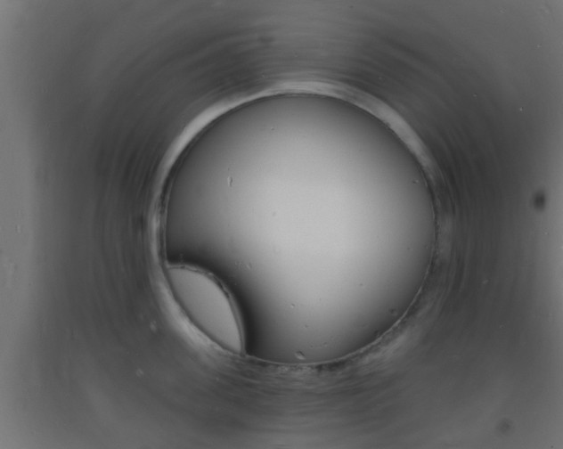 X0000093720955200710160748
