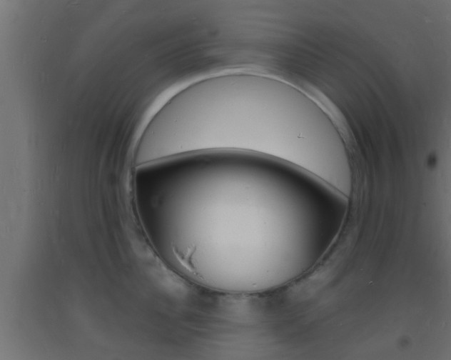 X0000093720956200710160748