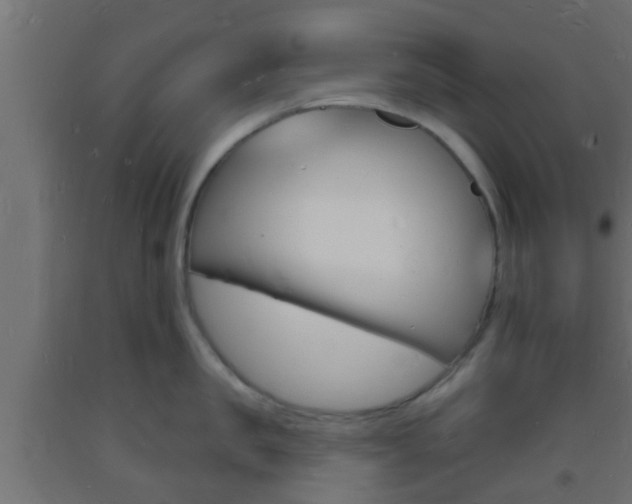 X0000093720957200710160748