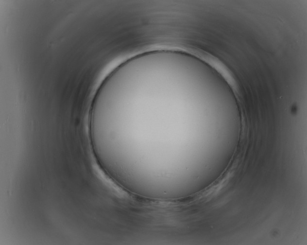 X0000093720958200710160748