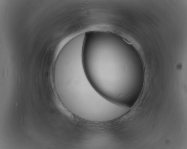 X0000093720960200710160748