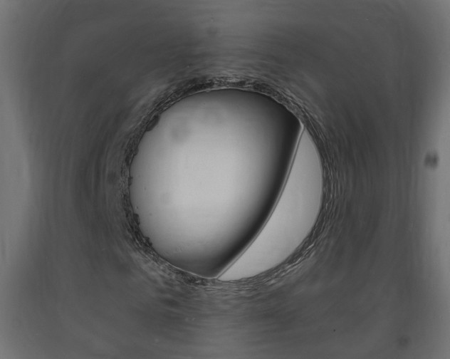 X0000093720961200710160747