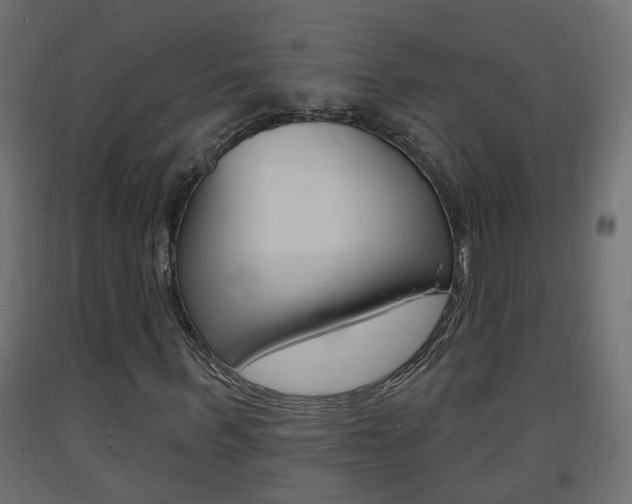 X0000093720963200710160747