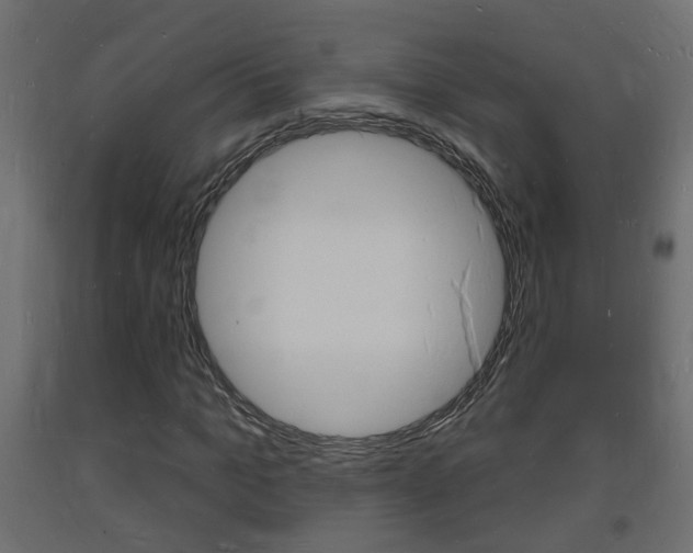 X0000093720965200710160747
