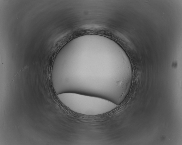 X0000093720966200710160747