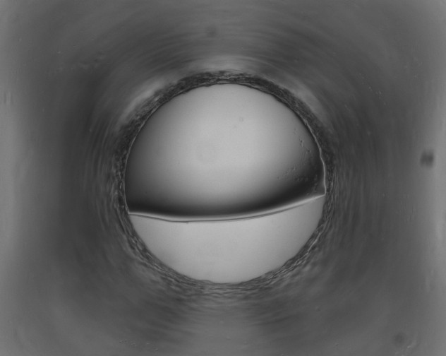 X0000093720967200710160747