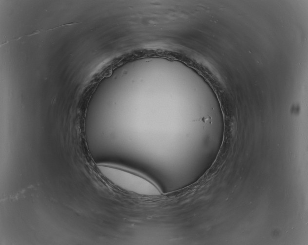 X0000093720968200710160747