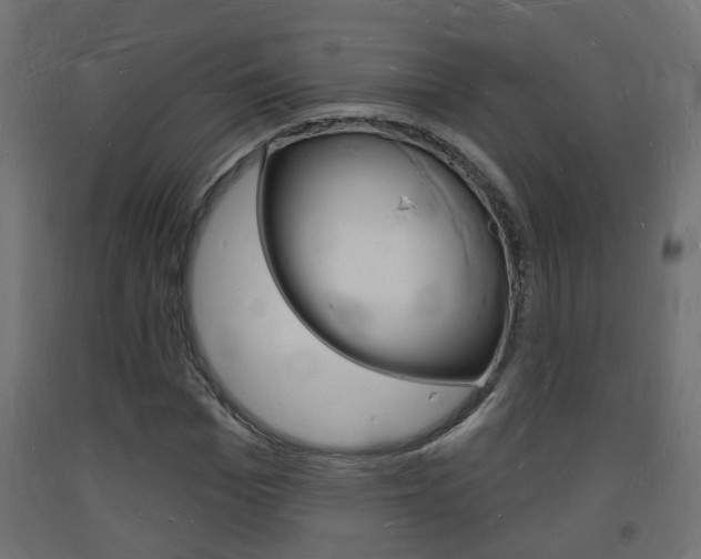 X0000093720969200710160747