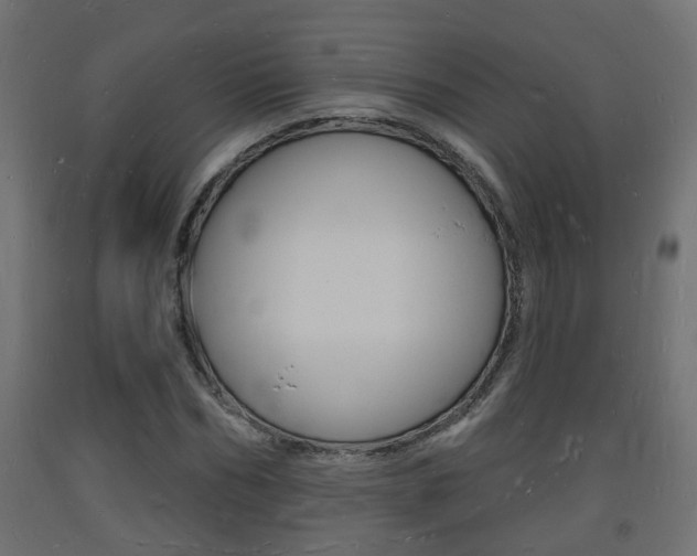 X0000093720970200710160747