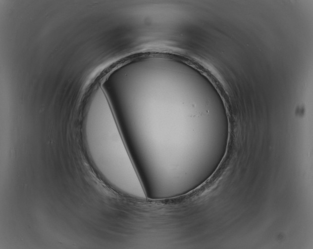 X0000093720971200710160747