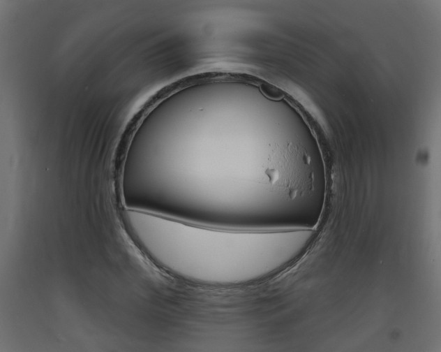 X0000093720972200710160747
