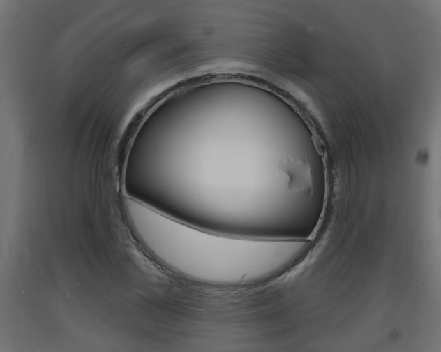 X0000093720973200710160747