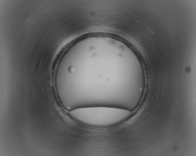 X0000093720974200710160747